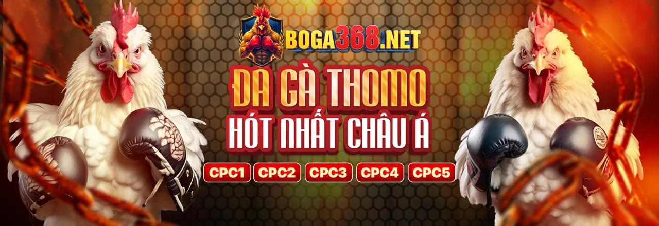 Tổng quan về Ga Thomo và Đá Gà Trực Tuyến